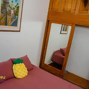 Pineapple Hospitality Apartment Mayaguez